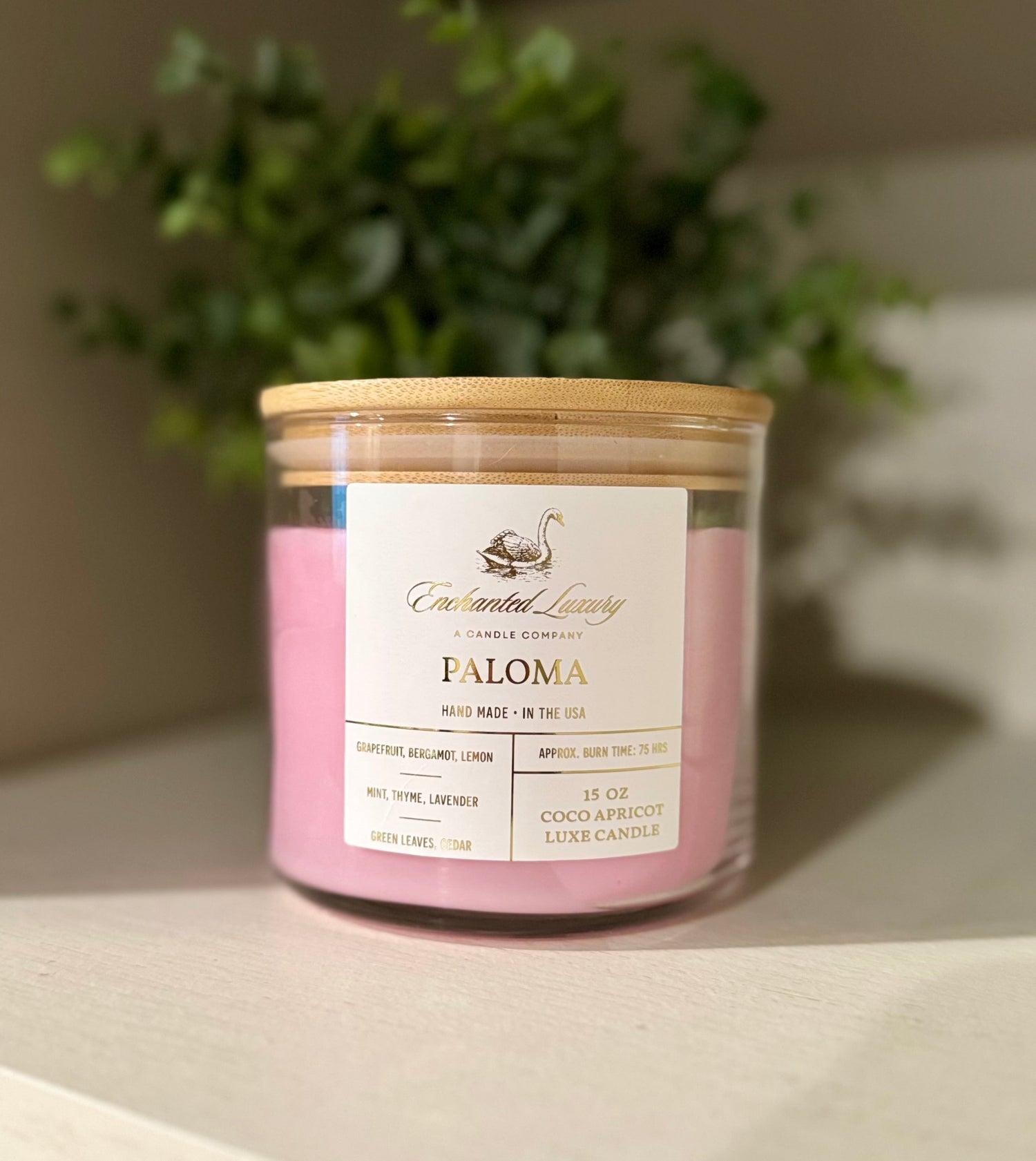Spring/Summer Scents