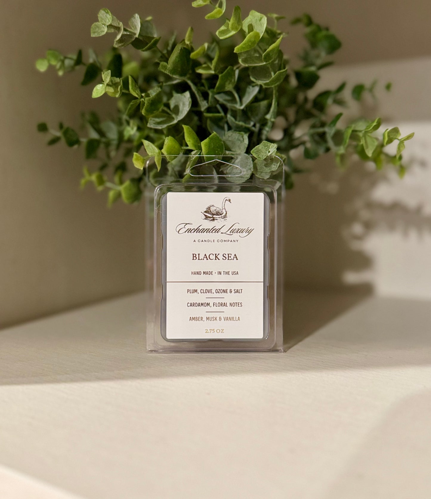 Black Sea Coco Apricot Luxe Soy Wax Melt - Airy, Sophisticated Scent with Essential Oils, Clean Burning